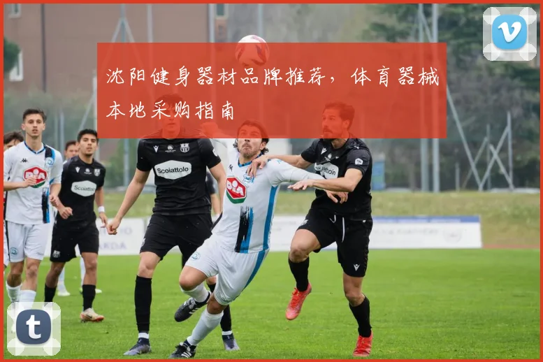 沈阳健身器材品牌推荐，体育器械本地采购指南